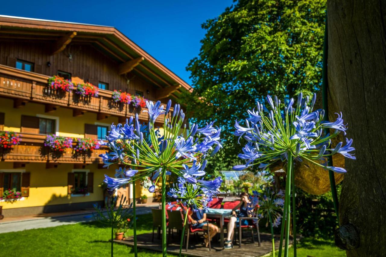 Starbauer Apartman Golling an der Salzach Kültér fotó